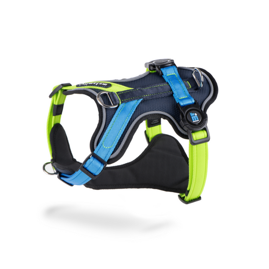 Peitoral Memopet® H Azul e Verde